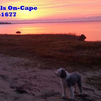 Appraisals On-Cape - Appraisal Services Near Me - Orleans, Massachusetts