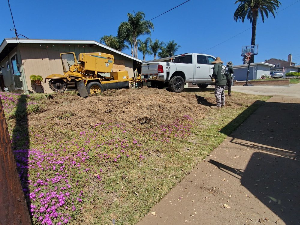 HENDERSON TREE SERVICE Updated September 2024 36 Photos Spring