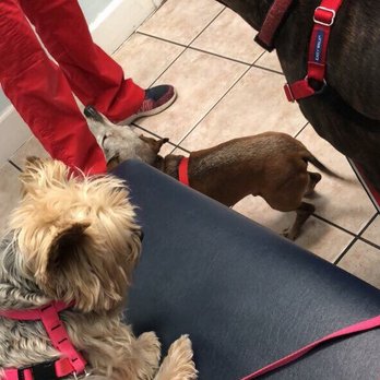 Sabal Chase Animal Clinic - Veterinarians Near Me - Miami, Florida Sabal Chase Animal Clinic - Veterinarians Near Me - Miami, Florida