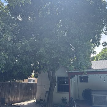 Pineda's Tree Care - Tree - Tree Services Near Me Pineda's Tree Care - Tree - Tree Services Near Me