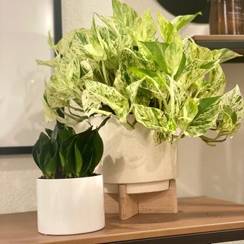 Pigment - Home Decor Near Me - San Diego, California