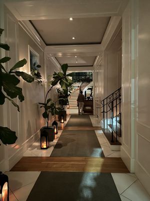 Wild Common by null Wild Common by null