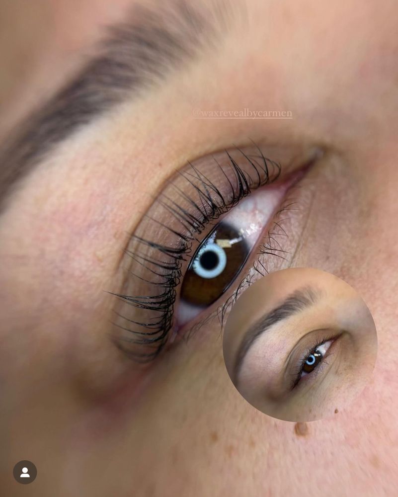 Wax Reveal By Carmen Logo