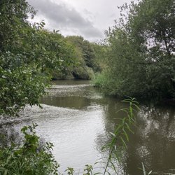 Frankendael Park - The pond