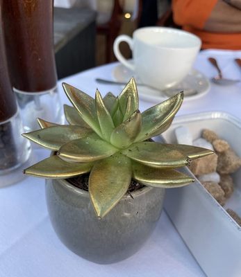 The Manor House Hotel by null