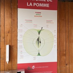 Verger le Gros Pierre - Anatomy of the Apple