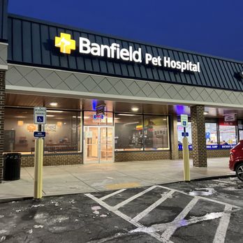 Petsmart Banfield Dog Hospital El Cajon Banfield Animal Hospital