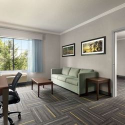La Quinta by Wyndham Dublin - Suite