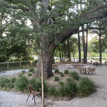 Brody's Bar & Grill - Beautiful oak in the center of outdoor area - American Near Me - Beaufort, South Carolina