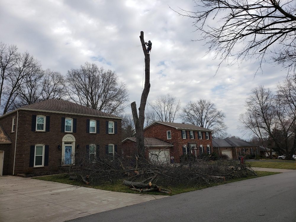 Nalley's Lawn Service & Landscaping - tree service in Louisville, KY