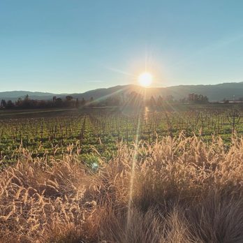 Mumm Napa - Wine Tasting Room Near Me - Rutherford, California Mumm Napa - Wine Tasting Room Near Me - Rutherford, California
