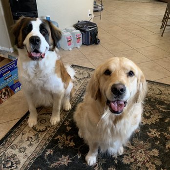 Oohlapaws - Pet Groomers Near Me Oohlapaws - Pet Groomers Near Me