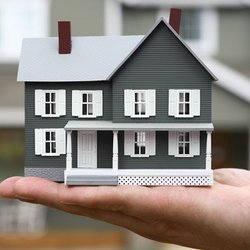 Angela Lazaro - Fathom Realty