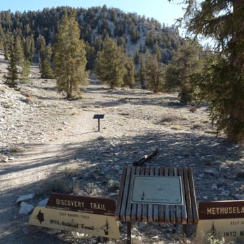 Ancient Bristlecone Pine Forest - Trailhead at Schulman Grove. - Parks Near Me - Bishop, California Ancient Bristlecone Pine Forest - Trailhead at Schulman Grove. - Parks Near Me - Bishop, California