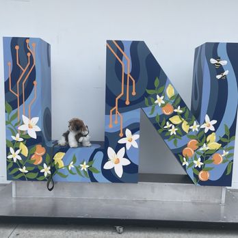 Boxi Park - Bars Near Me - Orlando, Florida Boxi Park - Bars Near Me - Orlando, Florida