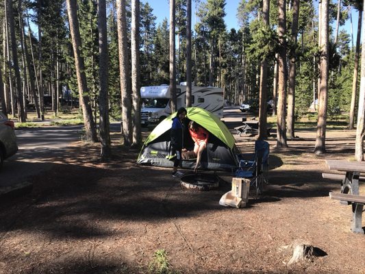 Grant Village Campground by null