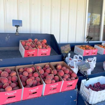 Burgess Orchards - Rees's Roots - Burgess Orchards Alpine Utah - Pick Your Own Farms Near Me - Alpine, Utah
