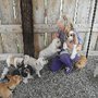 Photo of Sunshine Doggy Resort and Daycare
