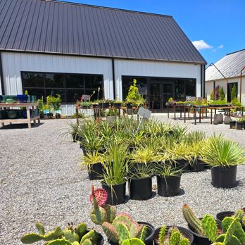 Rooted In - Nurseries & Gardening Near Me - Pilot Point, Texas Rooted In - Nurseries & Gardening Near Me - Pilot Point, Texas