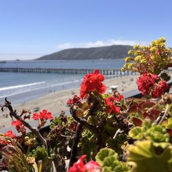 Inn At Avila Beach - The view from the rooftop.