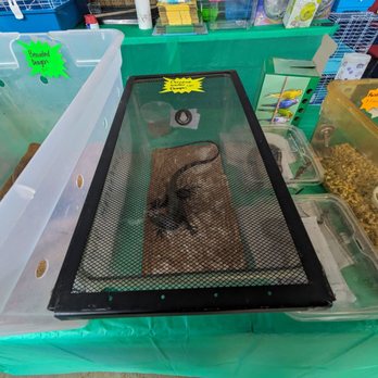 7 MILE FAIR - Updated February 2026 - 21 Photos - 2720 W 7 Mile Rd