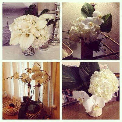 Mitch's Flowers by null