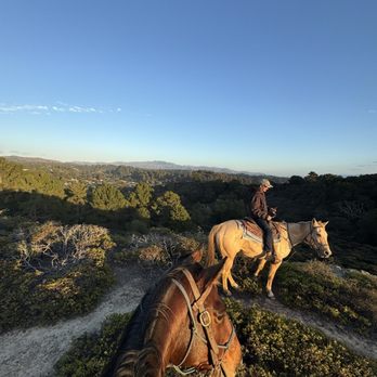 Flying horse adventures - horse view - Horseback Riding Near Me Flying horse adventures - horse view - Horseback Riding Near Me
