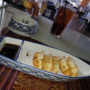 Thai Spice - Fried dumplings were light and tasty - Thai Near Me - Covington, Louisiana