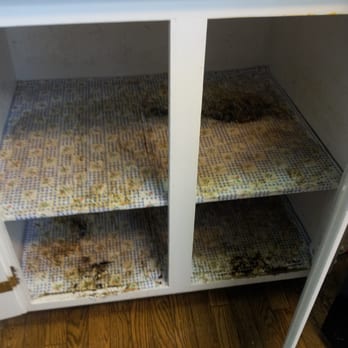 Deb's Dream Clean - inside greasy and dirty cabinet before - Window Washing Near Me