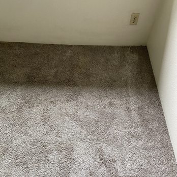 Aloha Carpet Cleaning - Before - Carpet Cleaning Near Me - Federal Way, Washington