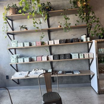 The Boy & The Bear - Coffee Roasteries Near Me - Los Angeles, California The Boy & The Bear - Coffee Roasteries Near Me - Los Angeles, California
