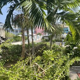 View View
