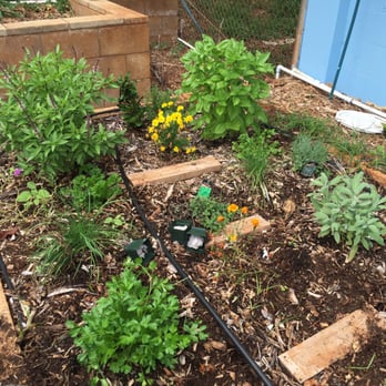 Koolau Farmers - Our new herb garden with seedlings from Koolau Farmers! - Nurseries & Gardening Near Me - Honolulu, Hawaii Koolau Farmers - Our new herb garden with seedlings from Koolau Farmers! - Nurseries & Gardening Near Me - Honolulu, Hawaii
