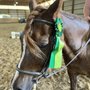 Photo of Talbot Run Equestrian Center