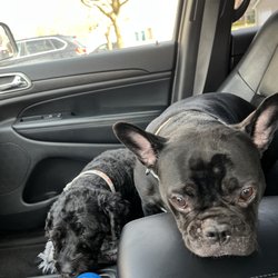 Kelly's Pet Boutique East