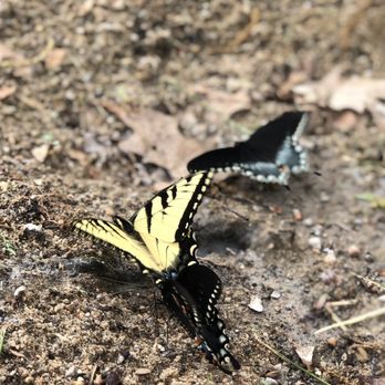Sharp Park Campground - Campgrounds Near Me - Middleville, Michigan