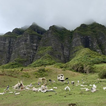 Kualoa Ranch - Kong: Skull island - Tours Near Me - Kaneohe, Hawaii Kualoa Ranch - Kong: Skull island - Tours Near Me - Kaneohe, Hawaii