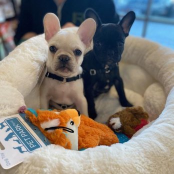 EarthWise Pet - Pet Groomers Near Me - Yakima, Washington