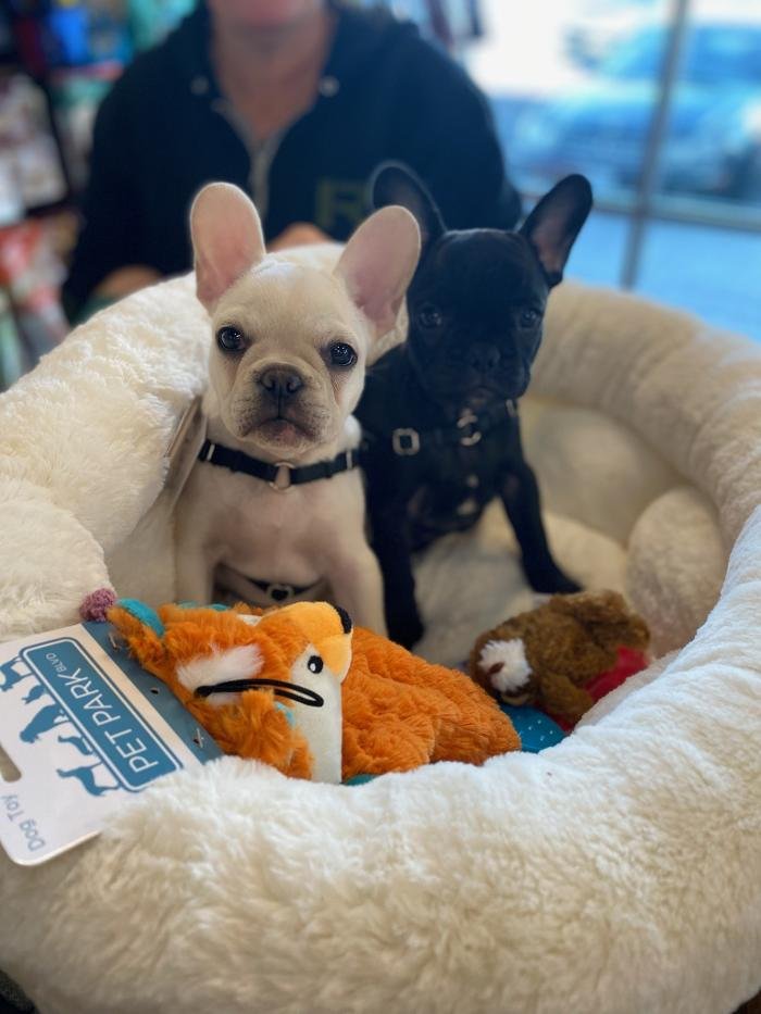 EARTHWISE PET NUTRITION CENTER & WELLNESS CENTER 20 Photos & 12