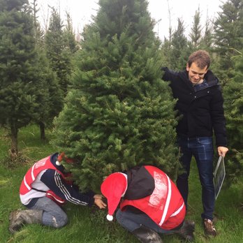 Buttonwood Farm - Such great service! - Christmas Trees Near Me - Redmond, Washington Buttonwood Farm - Such great service! - Christmas Trees Near Me - Redmond, Washington