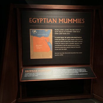 Field Museum - Mummies - Museums Near Me - Chicago, Illinois Field Museum - Mummies - Museums Near Me - Chicago, Illinois