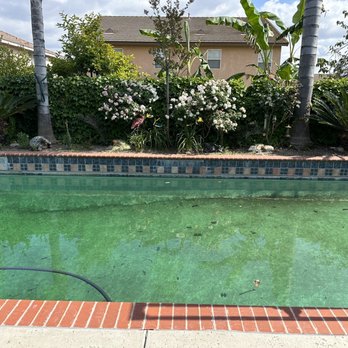 Superior Pool Pro - BEFORE pool service - Pool & Hot Tub Service Near Me Superior Pool Pro - BEFORE pool service - Pool & Hot Tub Service Near Me