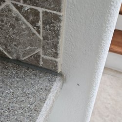 Florida Vacation Homes by Owner - Ants