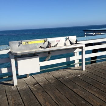 San Clemente Pier - The birds are having fun! - Beaches Near Me - San Clemente, California