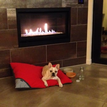 Bardessono Hotel and Spa - Dog beds provided for canine guests - Hotels Near Me - Yountville, California