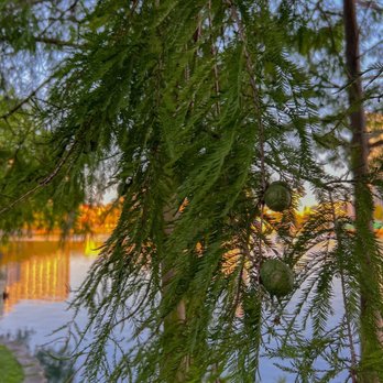Lake Eola Park - Parks Near Me - Orlando, Florida