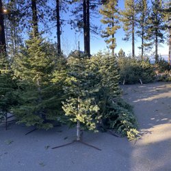 Optimist Christmas Tree Lot