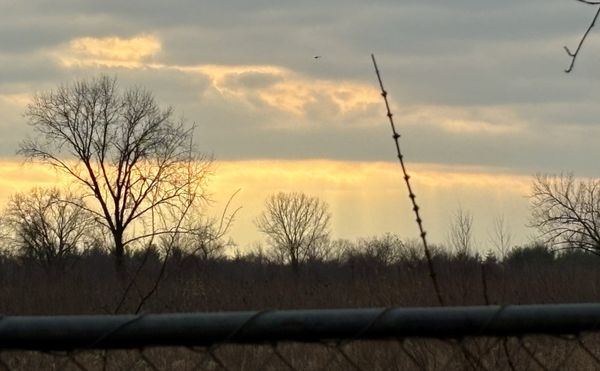 Liberty State Park by null