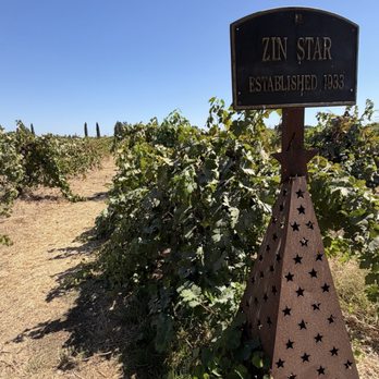 The Lucas Winery - ZinStar Vineyard - Wineries Near Me - Lodi, California