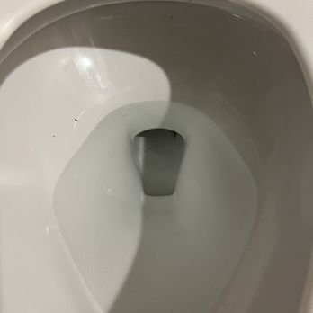 Embassy Suites by Hilton Cincinnati RiverCenter - Remnants in the toilet of the THIRD room they wanted us to check out before finally leaving this hotel... - Hotels Near Me - Covington, Kentucky